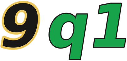 9q1 logo